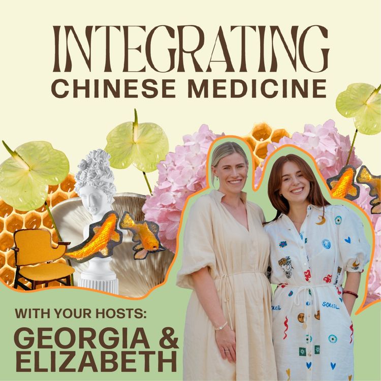 cover art for A Naturopath's approach to gut health & our relationship with food with Anthia Koullouros