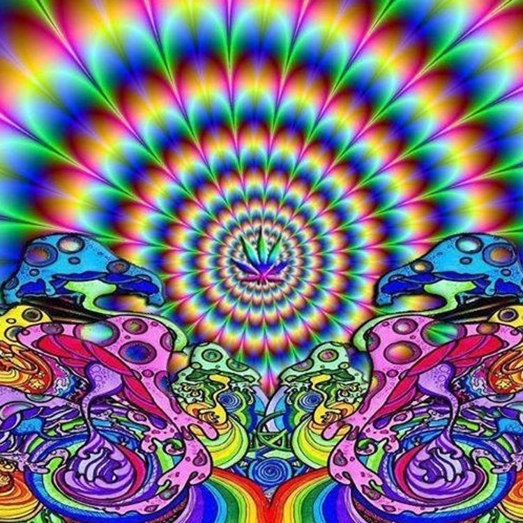 cover art for # 2.) Too close to home for comfort