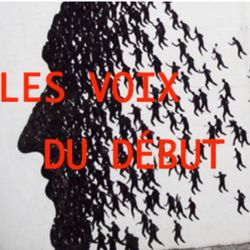 cover art for Les voix du début