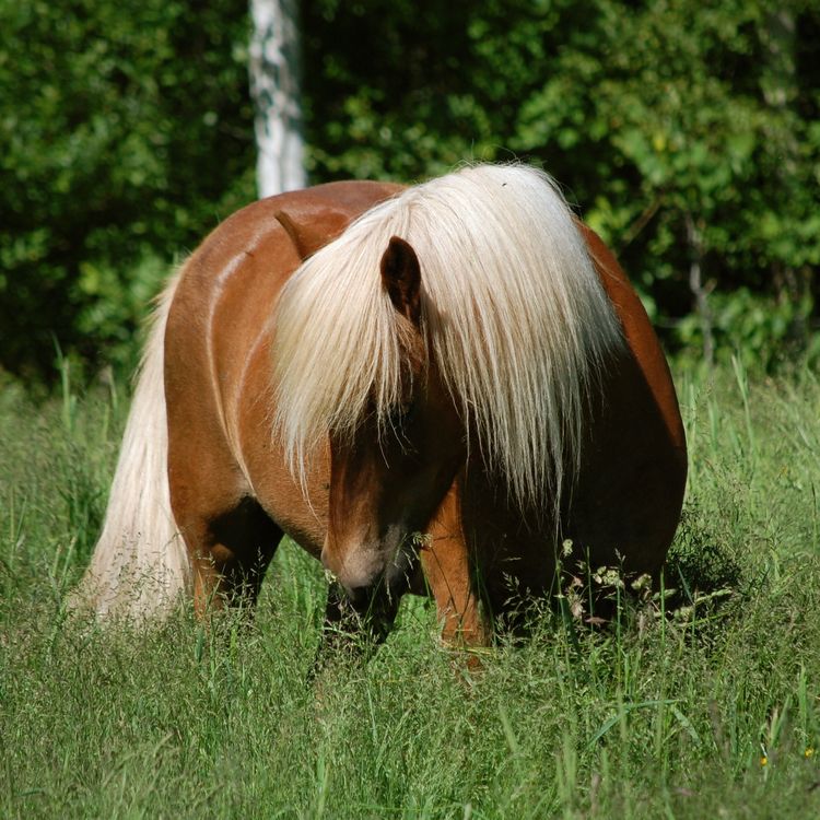 cover art for 15 - Notater fra felten#1