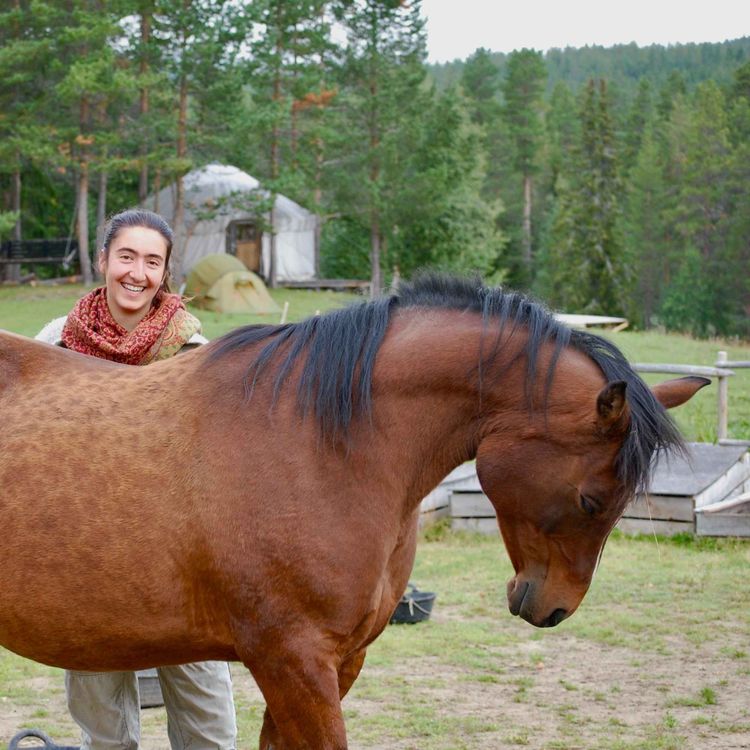 cover art for 66 - Drømmedalen II