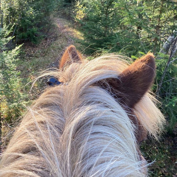 cover art for 72 - Ikke helt etter planen