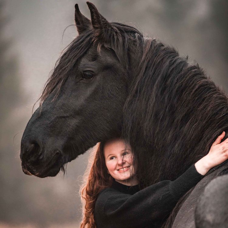 cover art for 80 - Livet med Batman