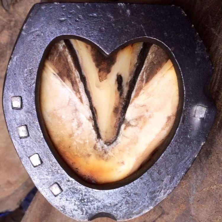 cover art for 86 - Hestens rett til et godt liv 3