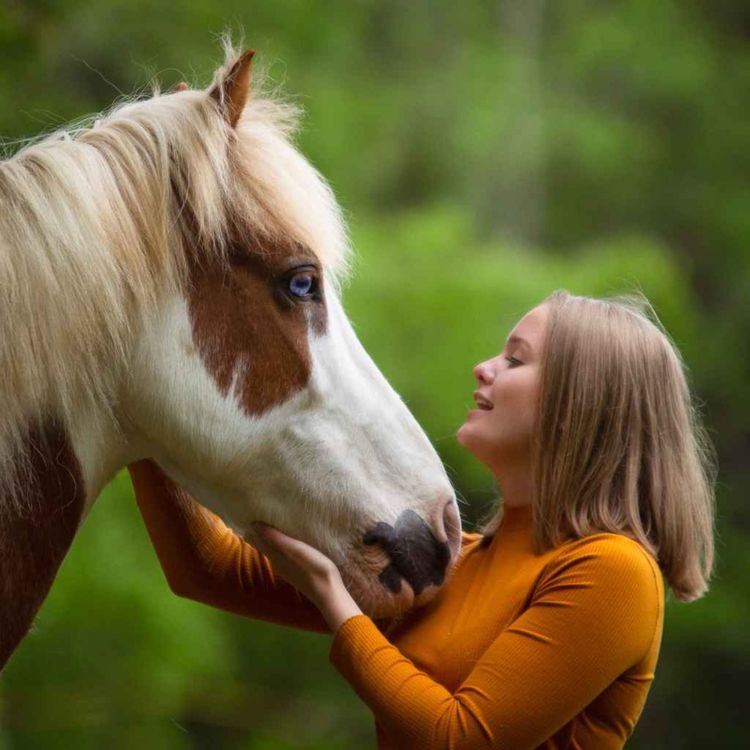 cover art for 92 - Hest som jobb og fritid