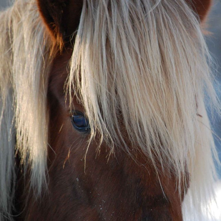 cover art for 93 - Uten remmer og tøy - MOZ#12