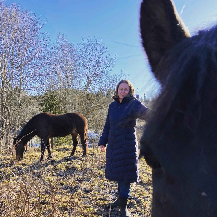 cover art for 95 - Tilbake i salen 20 år etter