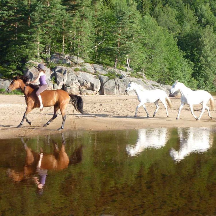 cover art for 97 - Møt Christine Mortensen II