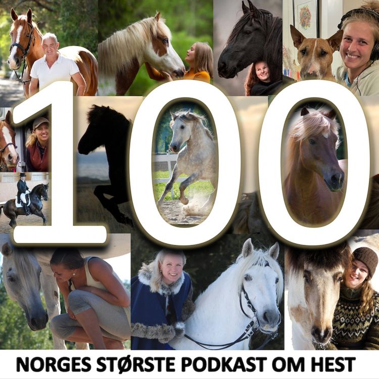 cover art for 100 - Hva ALLE hestefolk bør vite