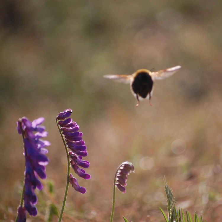 cover art for 22 - Aldri for sent å åpne nye dører - MOZ#5