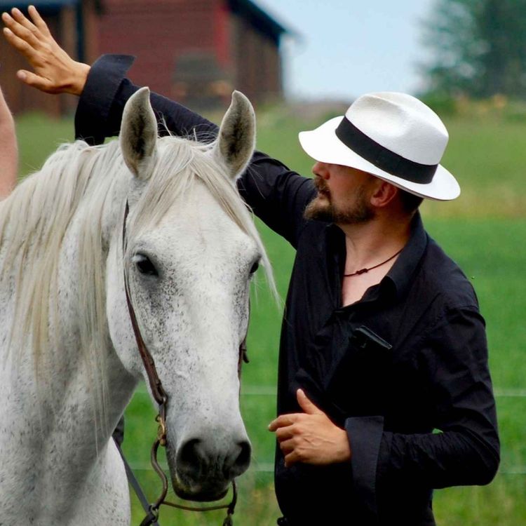 cover art for BONUS Møt Arne Koets