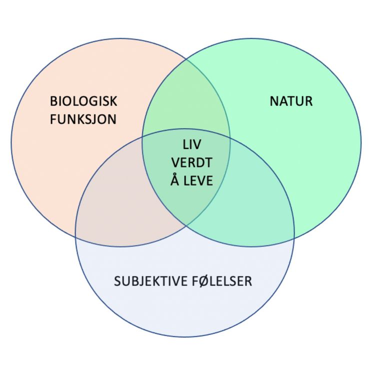 cover art for 115 - Forstår du hesten din?