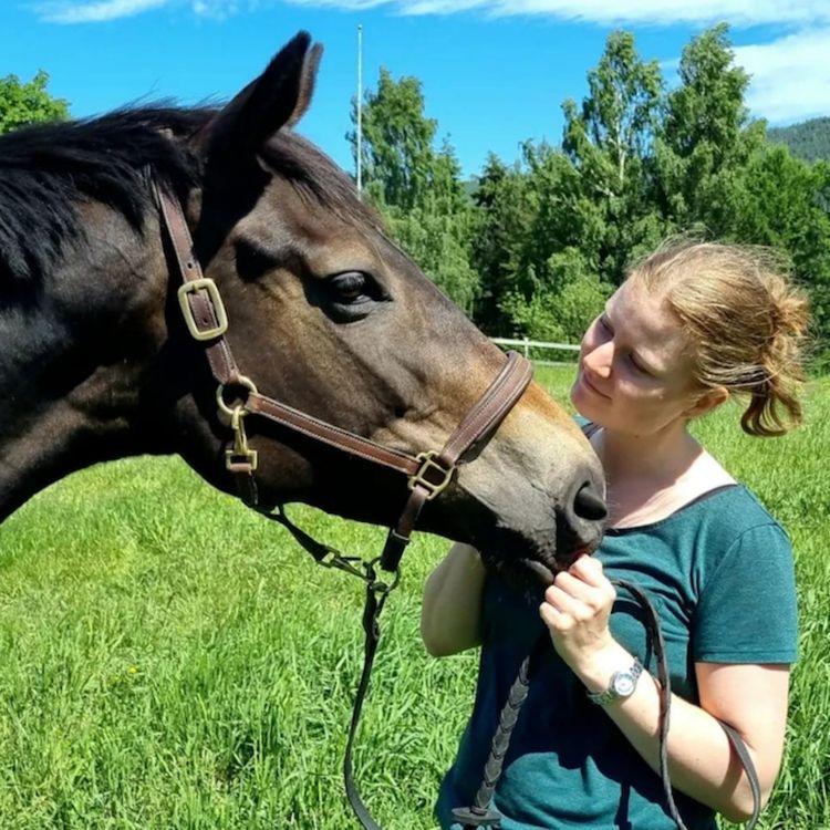 cover art for 118 - Gåten Daphne