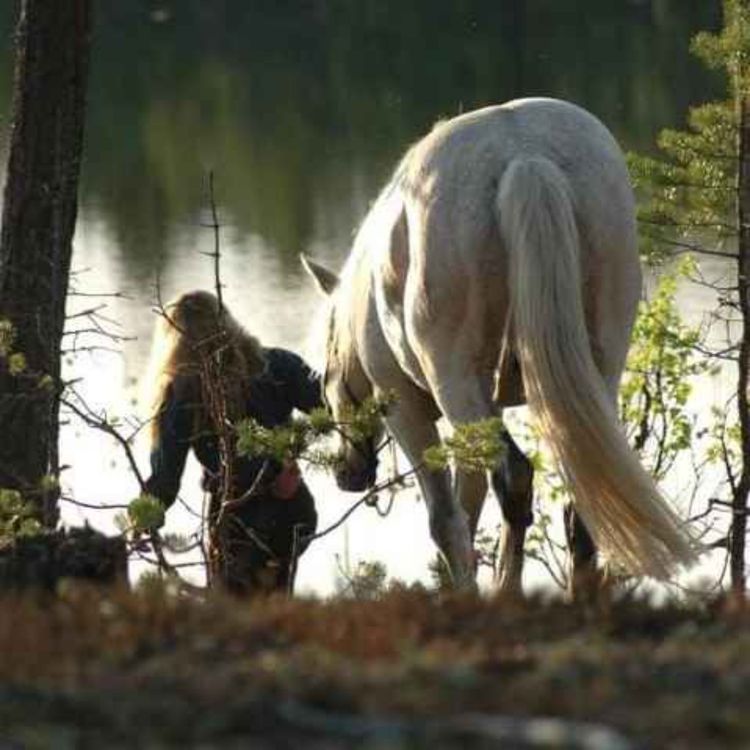 cover art for 60 - Meet Leslie Desmond