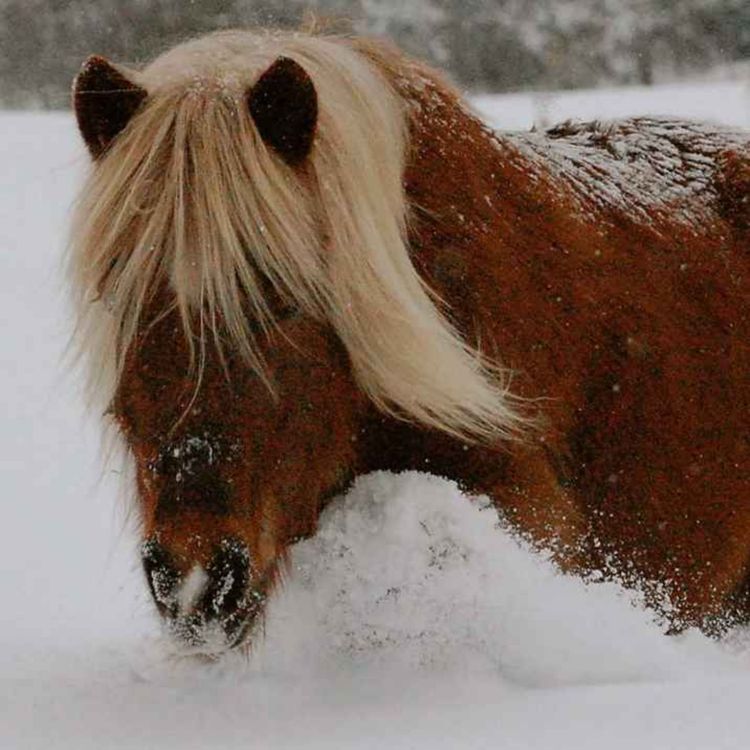 cover art for 127 - På gjenhør!