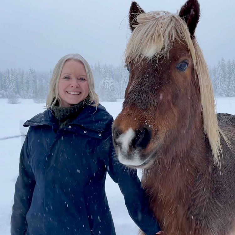 cover art for 129 - Refleksjoner