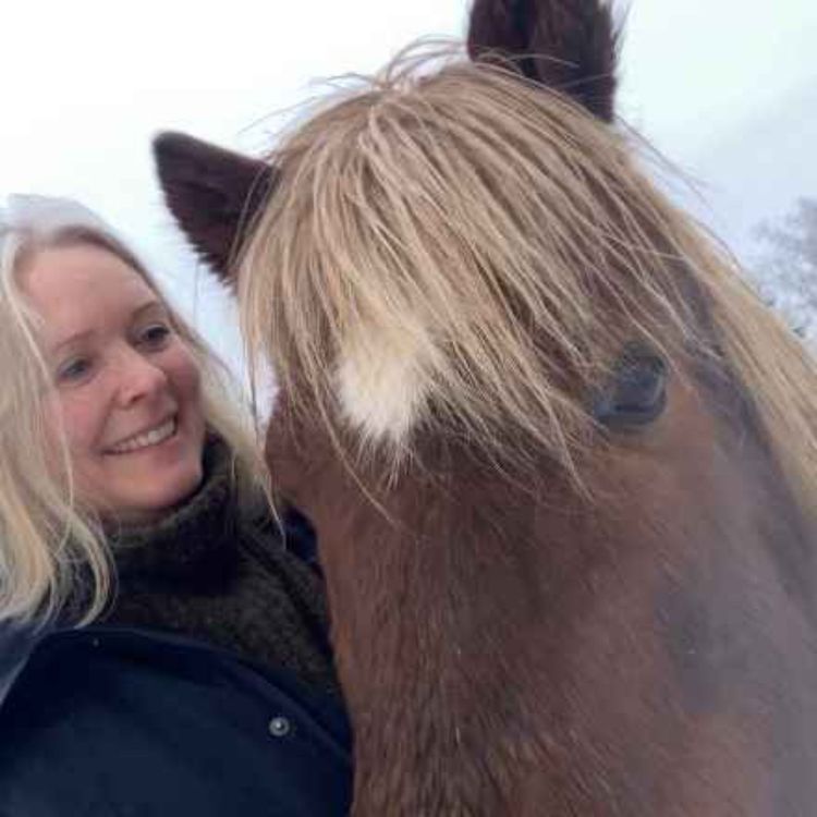 cover art for 131 - Refleksjoner II