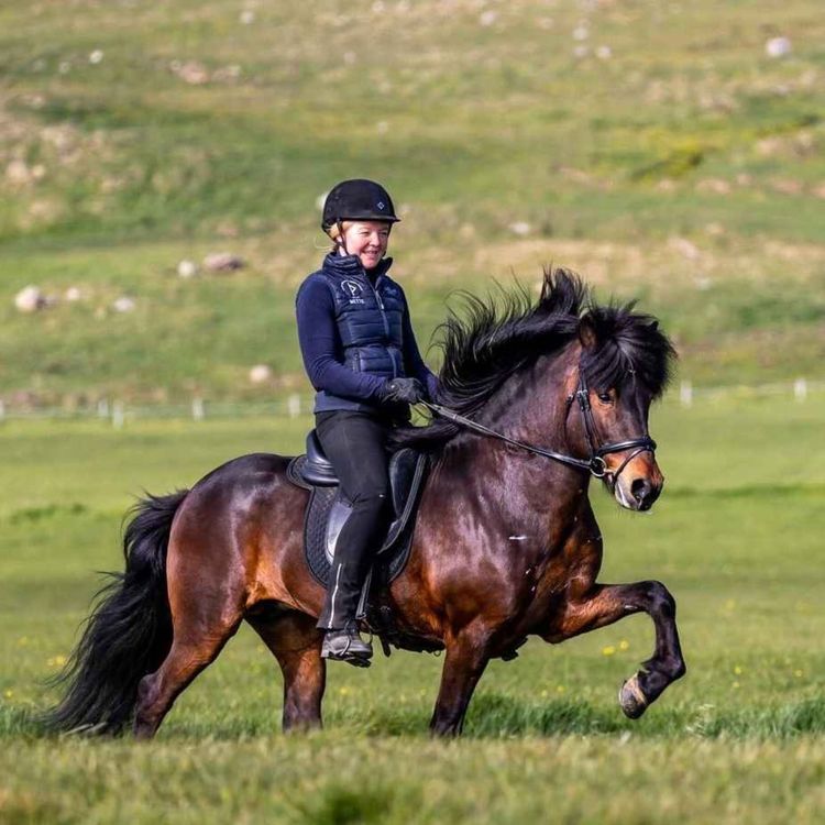 cover art for 138 - Hestekvinner snakker om hest IV