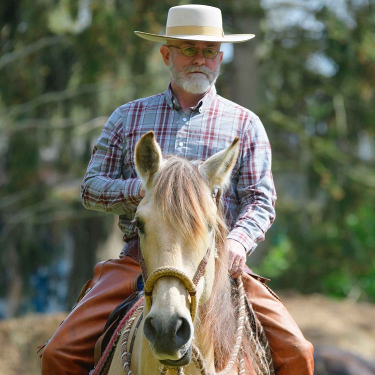 cover art for BONUS Møt Jeff Sanders