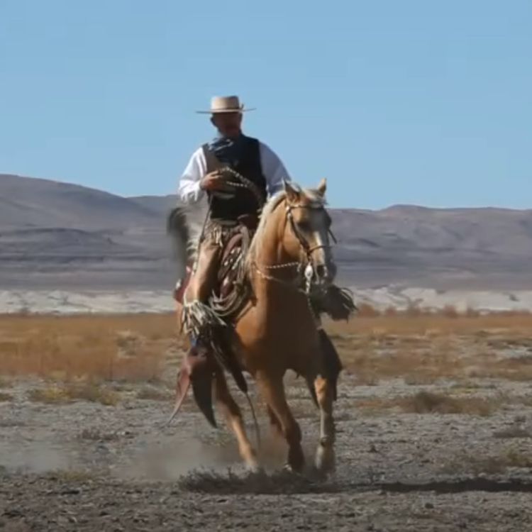 cover art for BONUS - Møt Jeff Sanders II