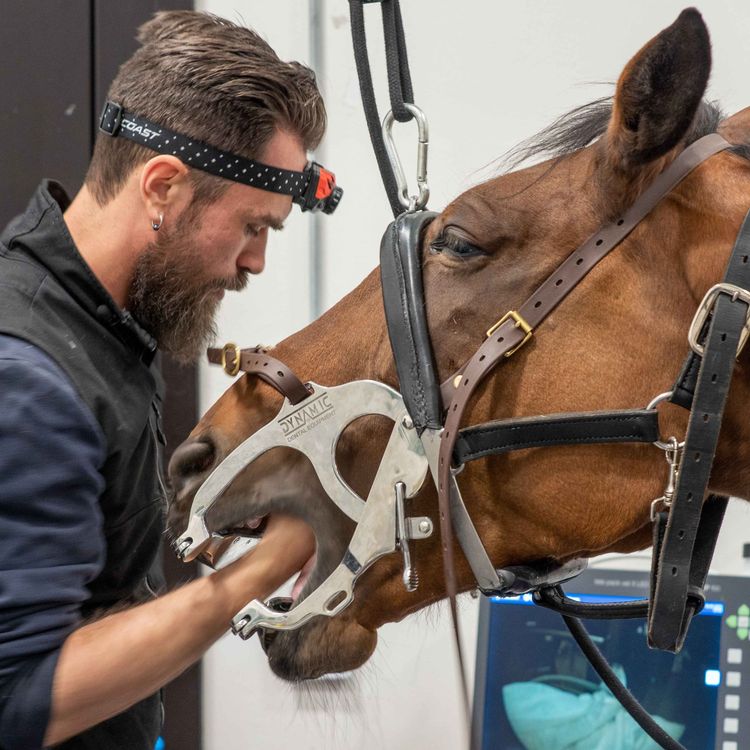 cover art for 149 - La oss snakke om etikk III