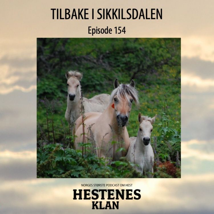 cover art for Trailer - Tilbake i Sikkilsdalen