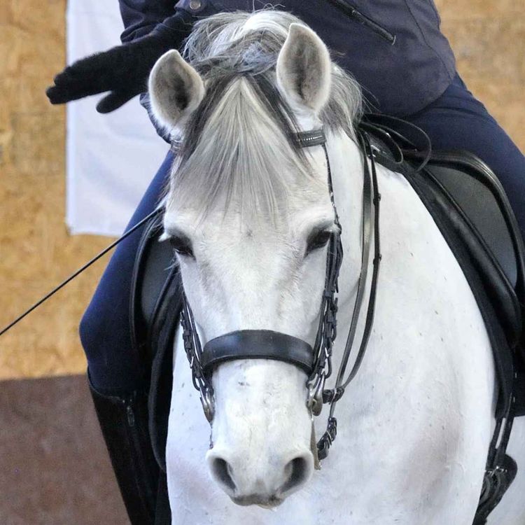 cover art for BONUS - Møt Dave Thind