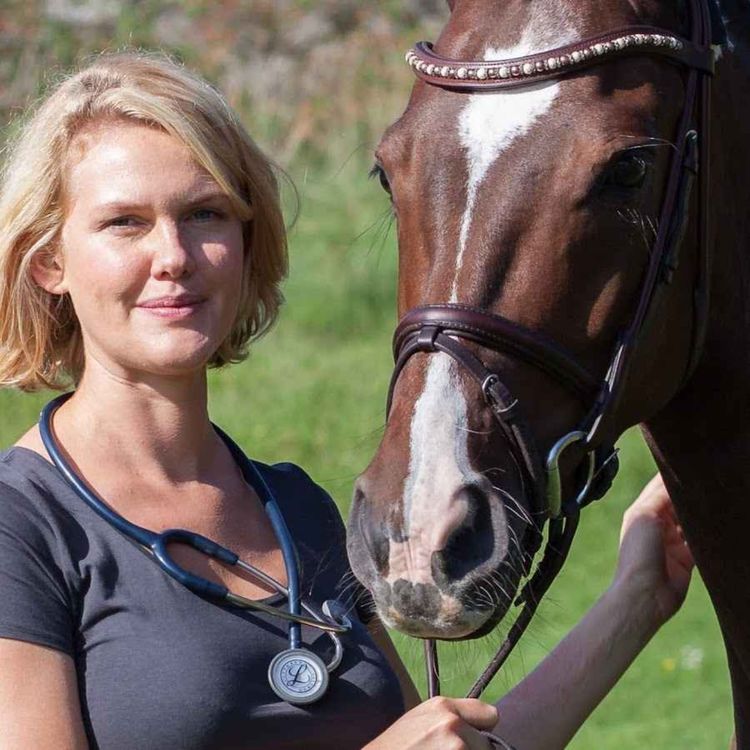 cover art for 164 - Målet er å gi hestene en stemme