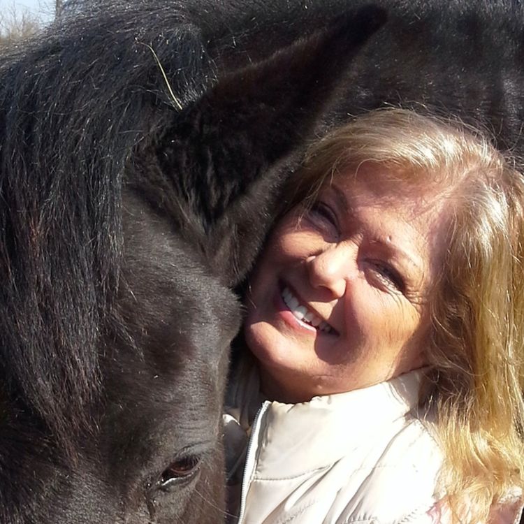 cover art for TRAILER: Meet Elaine Butler