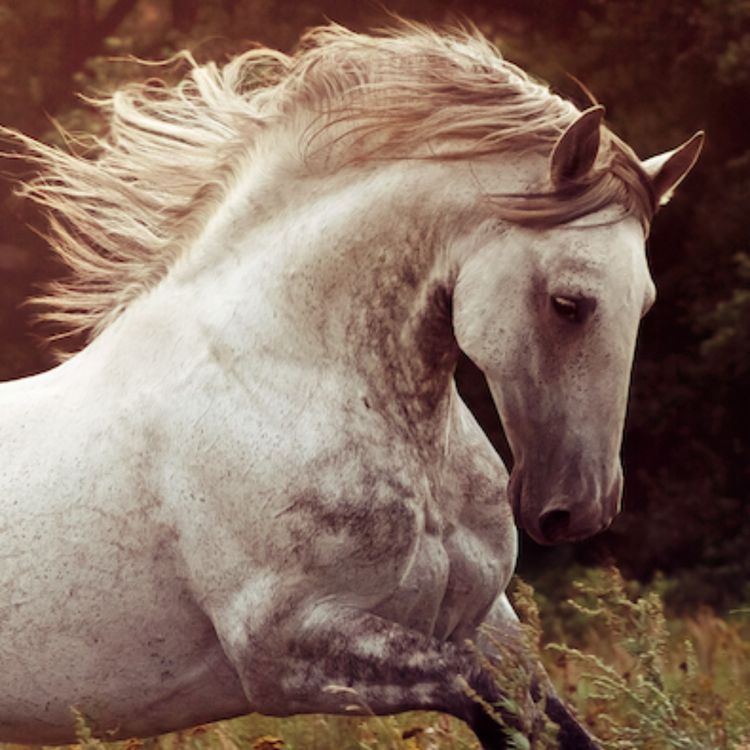 cover art for 173 - En viktig påminnelse...