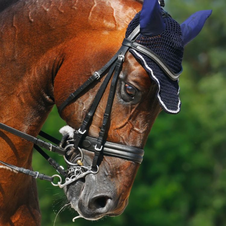 cover art for 174 - Åpent brev til FEI