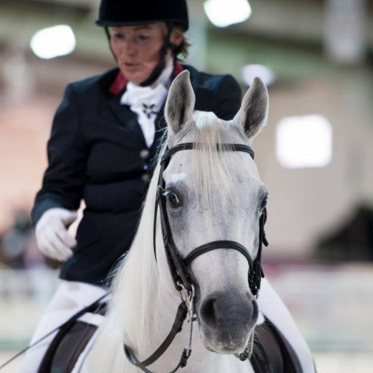 cover art for 175 - Når dommen faller