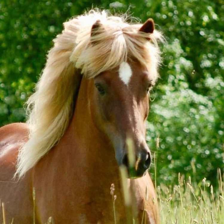 cover art for 189 - Nye takter - endelig!