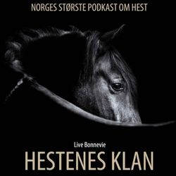 cover art for Hestenes klan