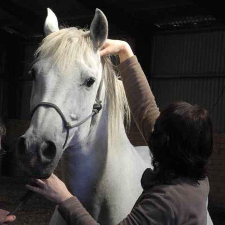 cover art for BONUS 253 - Vi glemte det viktigste