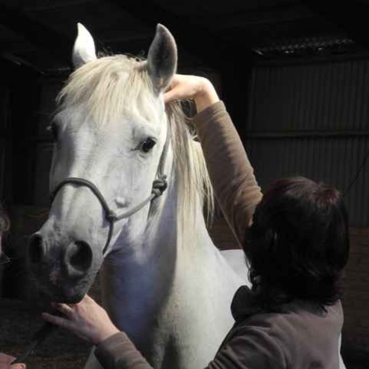 cover art for 253 - Meet Ivana Ruddock