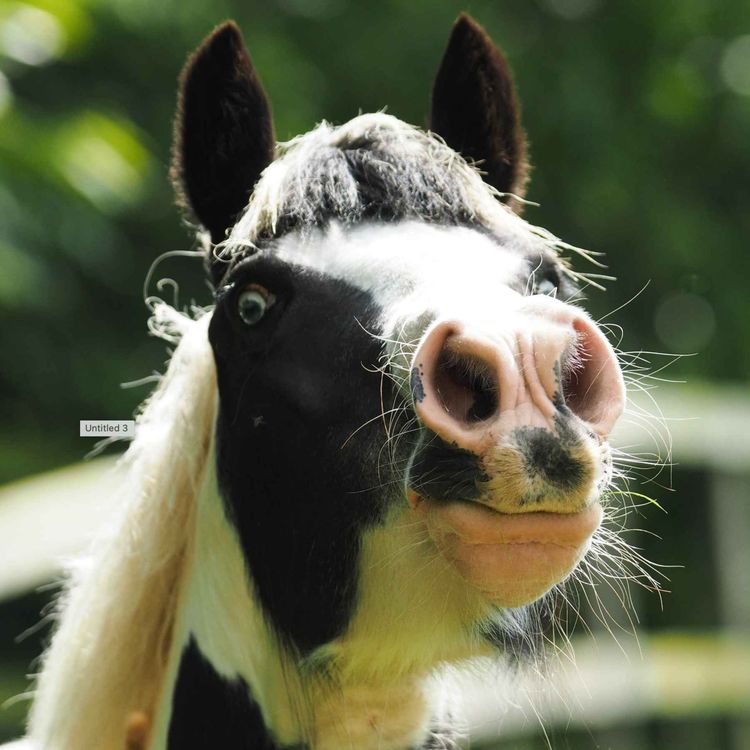 cover art for 255 - Two stories about sympathetic arousal