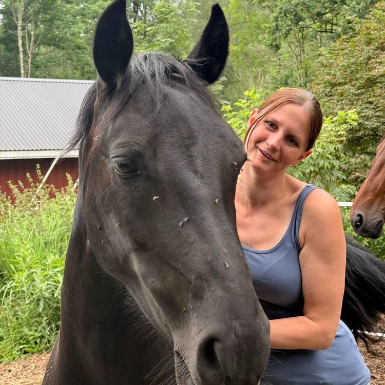 cover art for 258 - Hva er det med Abby?