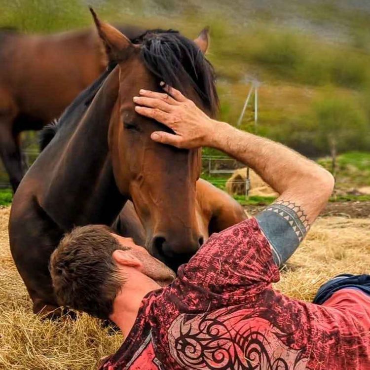 cover art for 261 - Når forteller hestens blikk at det er over?