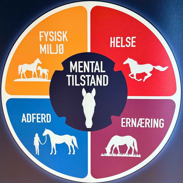 cover art for 263 - Oslo Horseshow 2025 - og velferd