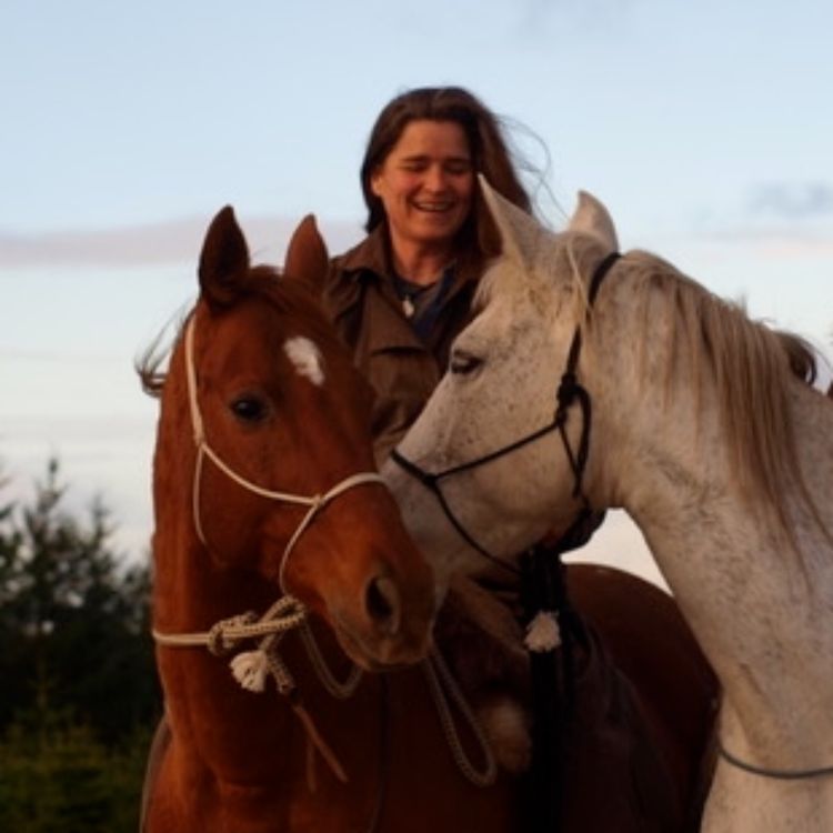 cover art for 265 - MAYDAY