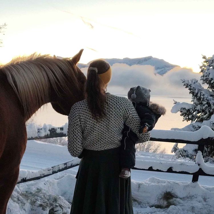 cover art for 268 - Hestenes klan Norge Rundt - Troms og Finnmark 