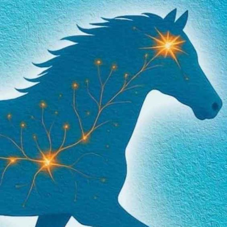 cover art for 269 - En halvparade om etisk hestehåndtering