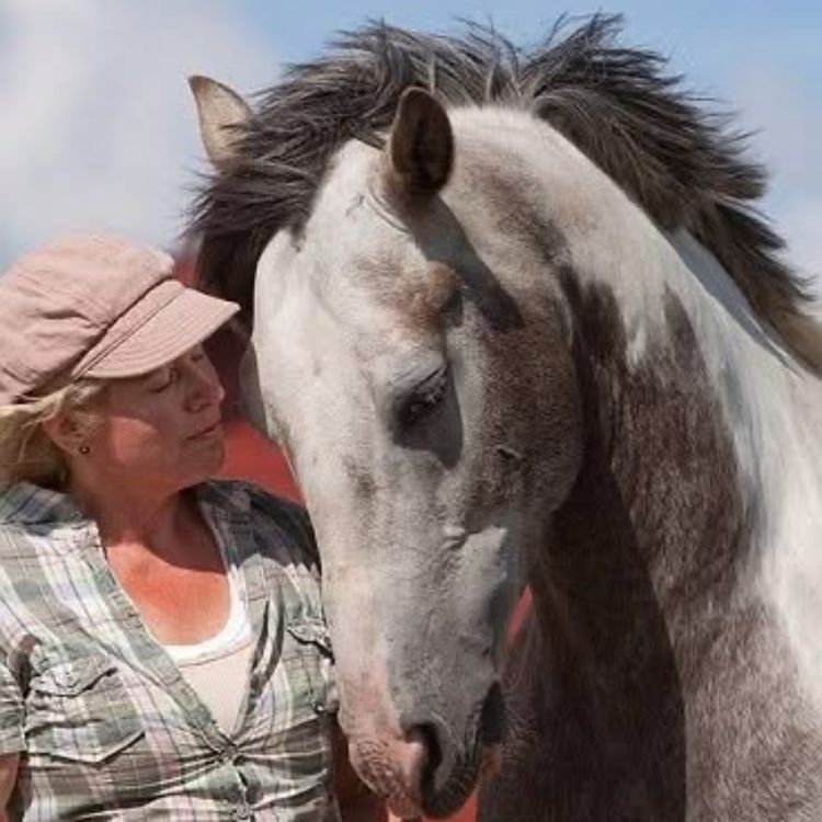 cover art for 270 - Hestekvinner snakker om hest - VIII