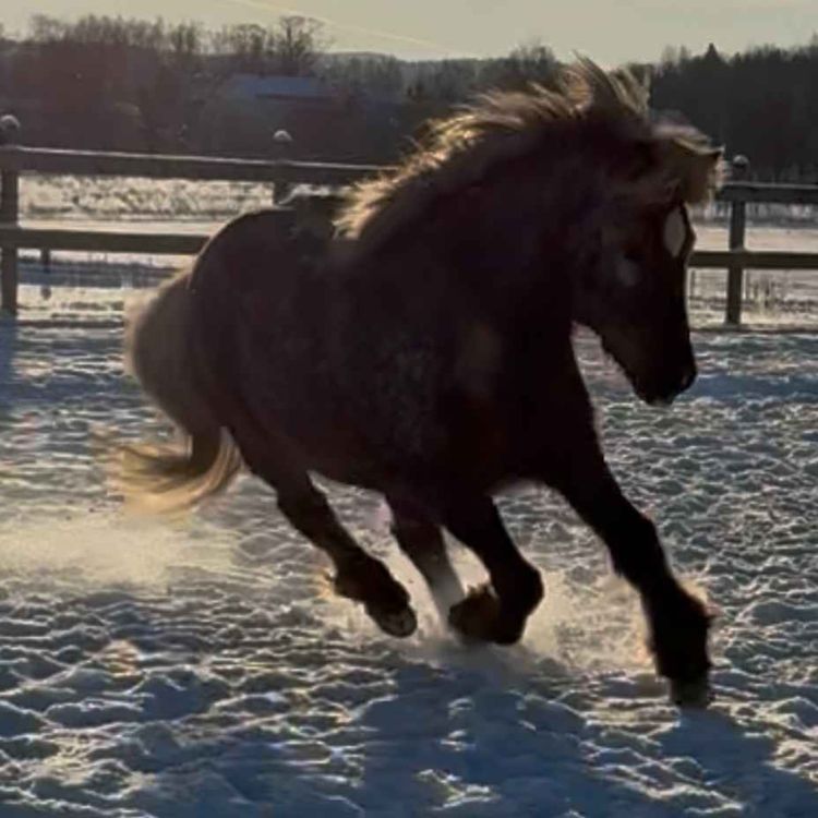 cover art for 273 - Det startet så bra