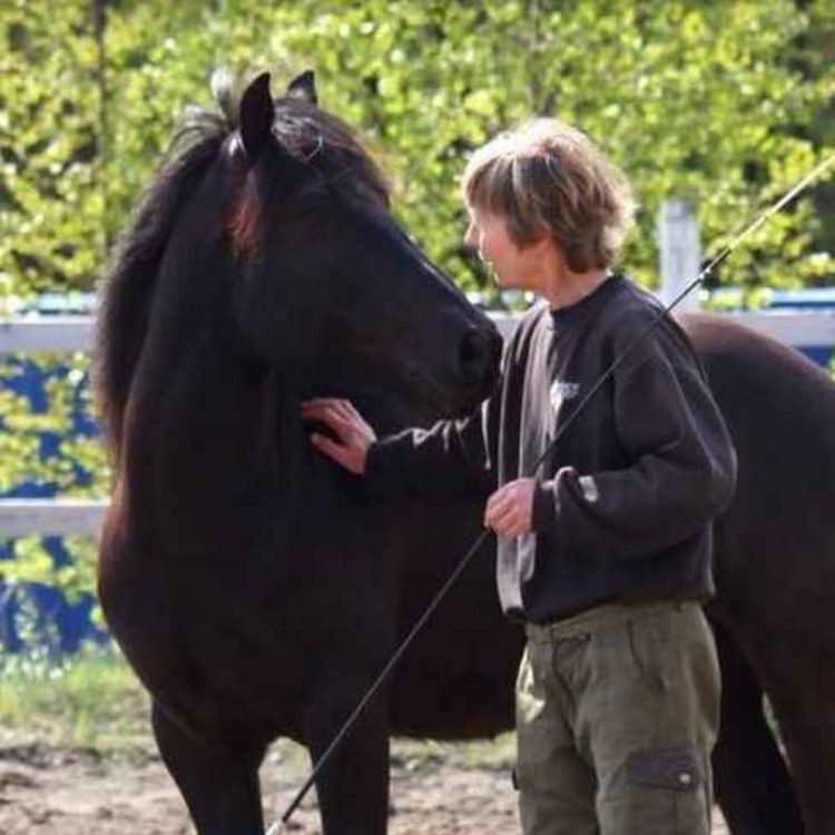 cover art for 275 - Hestenes klan Norge Rundt - Buskerud