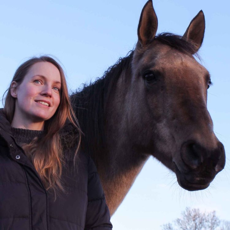 cover art for 285 - Å snakke hestens språk - hele historien