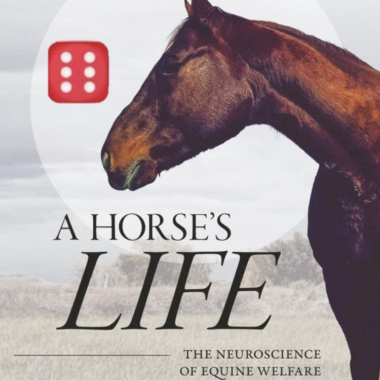 cover art for 288 - Bokomtale - A Horse's Life