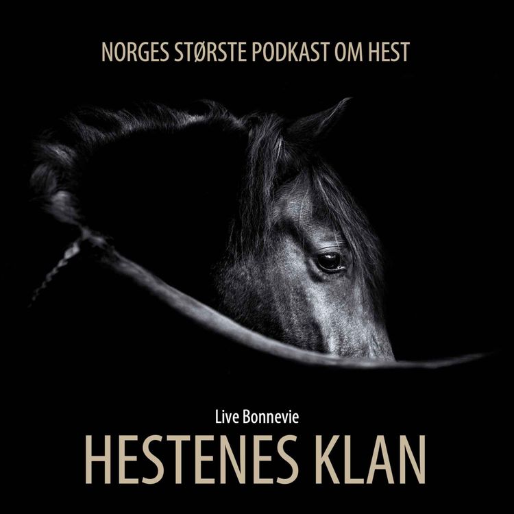 cover art for 300 - Historien bak Hestenes klan
