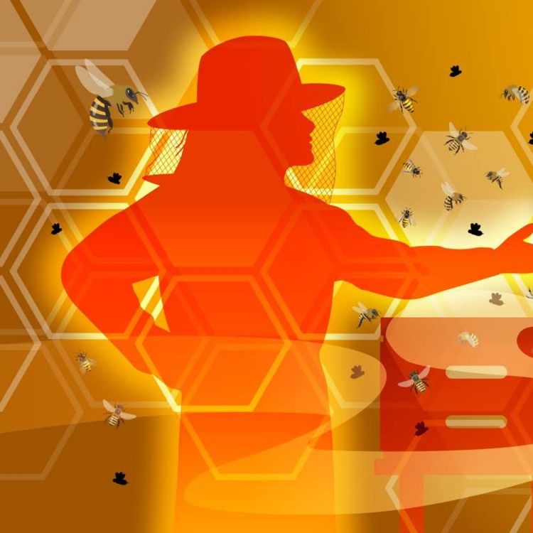 cover art for Let's Talk About The Apiary - Season 6 Episode 6 - 1000 Different Roles